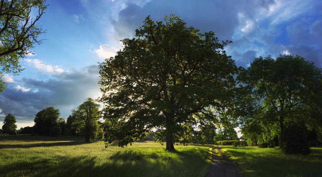 Villa La Tiny Du Parc : Saint Symphorien Des Monts Ernée Esterno foto