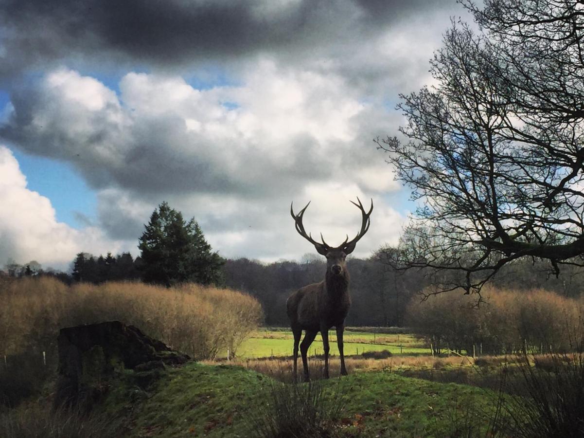 Villa La Tiny Du Parc : Saint Symphorien Des Monts Ernée Esterno foto